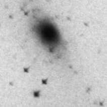 Bildausschnitt der Spiralgalaxy M31